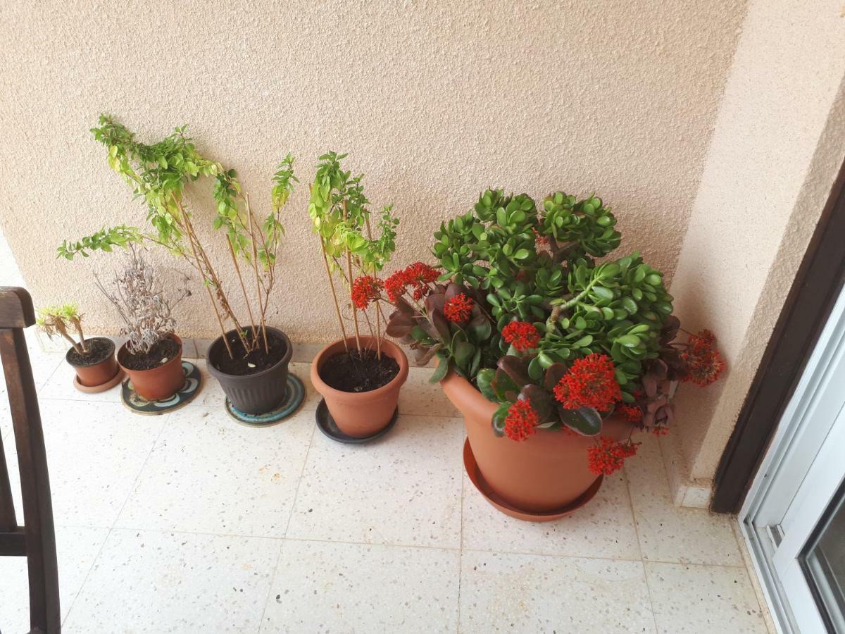 The Marilouize Apartment Peyia Exterior photo